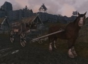 The Elder Scrolls V: Skyrim