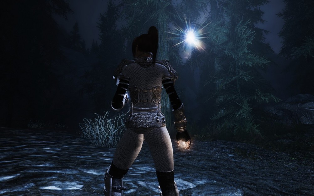 The Elder Scrolls V: Skyrim