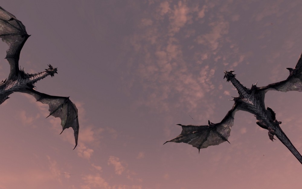 The Elder Scrolls V: Skyrim