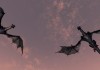 The Elder Scrolls V: Skyrim