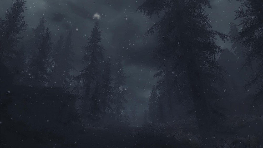 The Elder Scrolls V: Skyrim