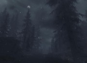 The Elder Scrolls V: Skyrim
