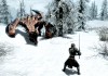 The Elder Scrolls V: Skyrim