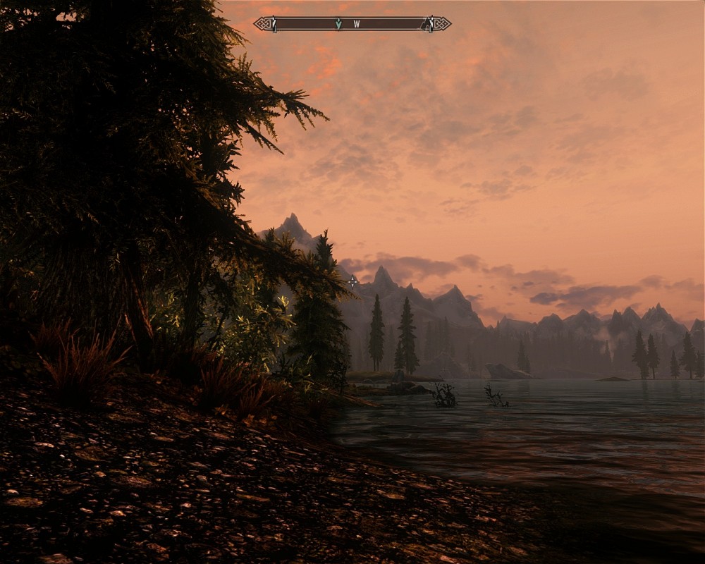 The Elder Scrolls V: Skyrim