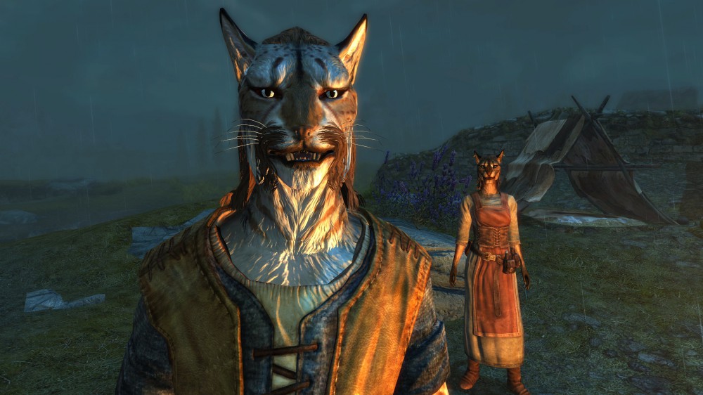 The Elder Scrolls V: Skyrim
