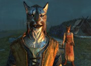 The Elder Scrolls V: Skyrim