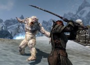 The Elder Scrolls V: Skyrim