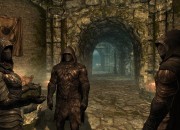 The Elder Scrolls V: Skyrim