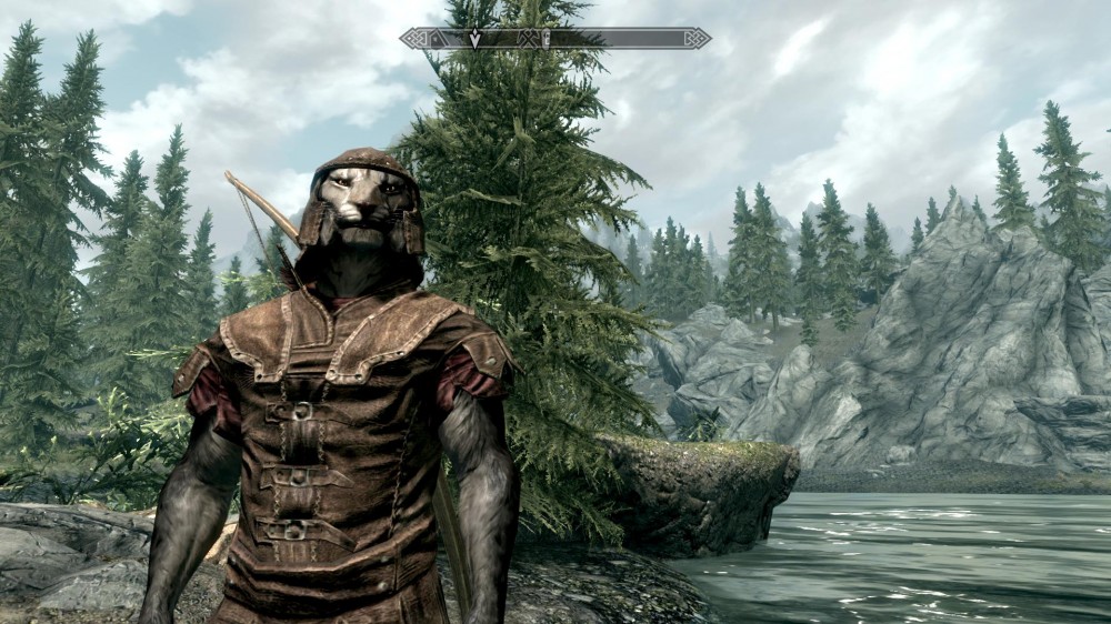 The Elder Scrolls V: Skyrim
