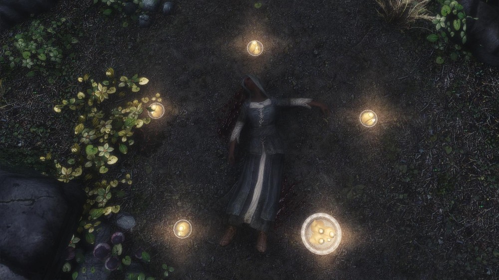 The Elder Scrolls V: Skyrim