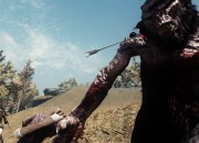 The Elder Scrolls V: Skyrim