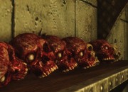 The Elder Scrolls V: Skyrim