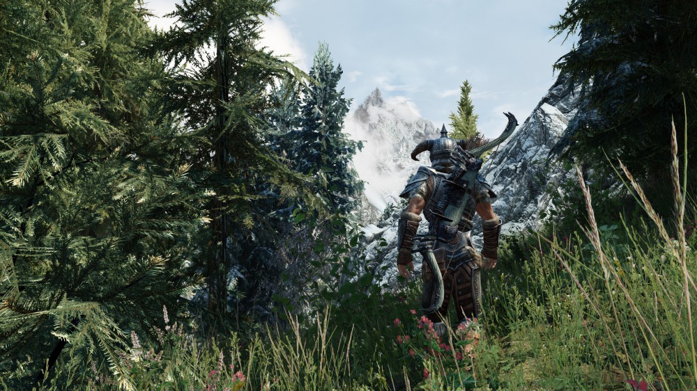 The Elder Scrolls V: Skyrim