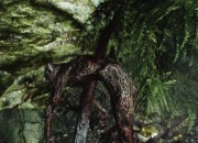 The Elder Scrolls V: Skyrim