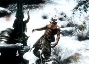 The Elder Scrolls V: Skyrim