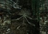 The Elder Scrolls V: Skyrim