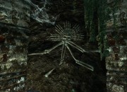 The Elder Scrolls V: Skyrim