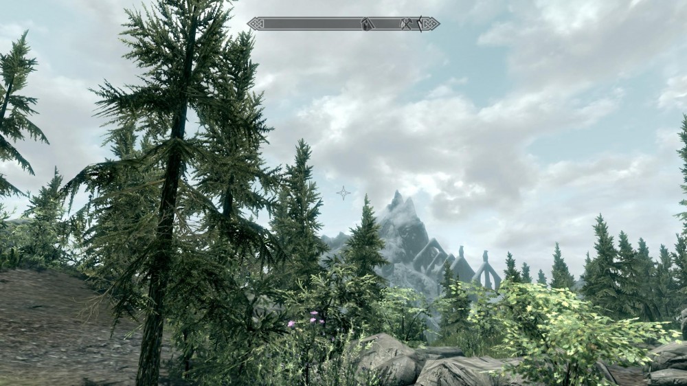 The Elder Scrolls V: Skyrim