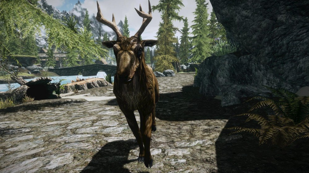 The Elder Scrolls V: Skyrim