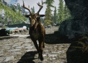 The Elder Scrolls V: Skyrim
