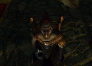 The Elder Scrolls V: Skyrim