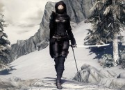 The Elder Scrolls V: Skyrim