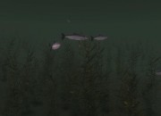 The Elder Scrolls V: Skyrim