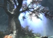 The Elder Scrolls V: Skyrim