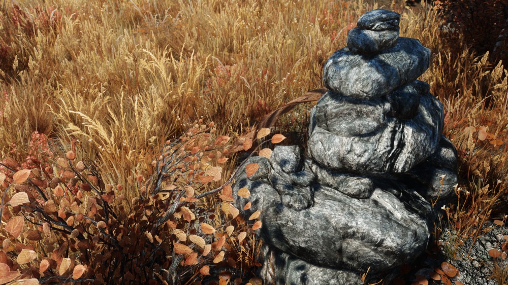 The Elder Scrolls V: Skyrim