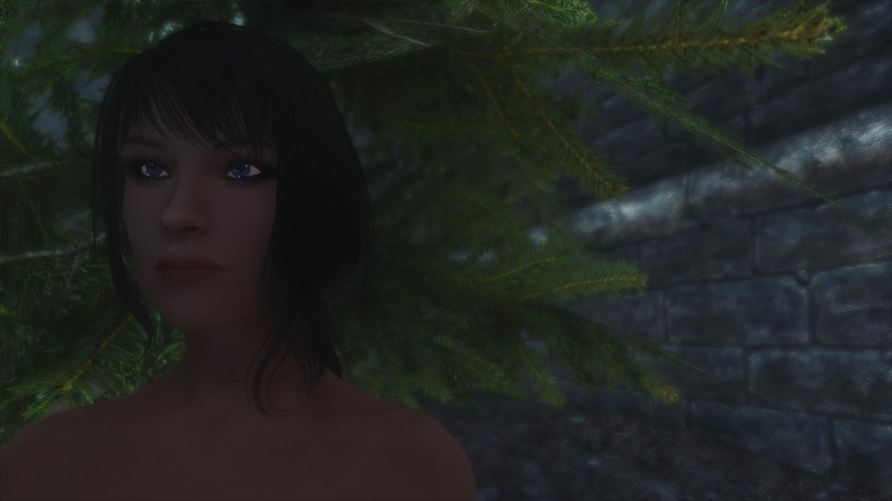 The Elder Scrolls V: Skyrim