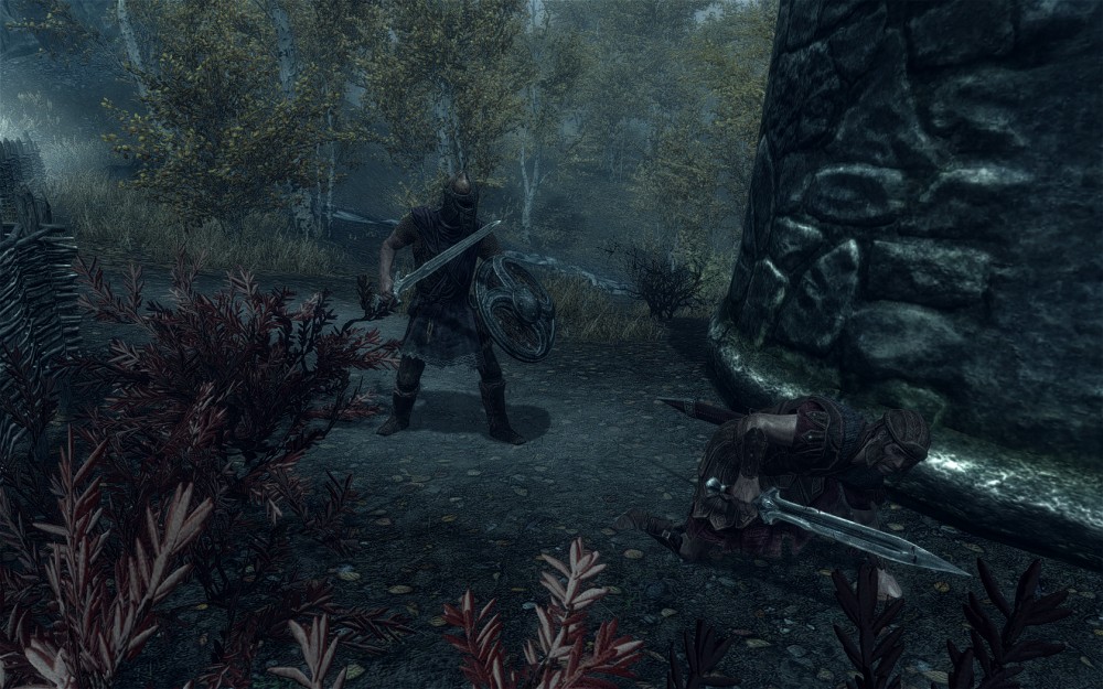 The Elder Scrolls V: Skyrim