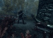 The Elder Scrolls V: Skyrim