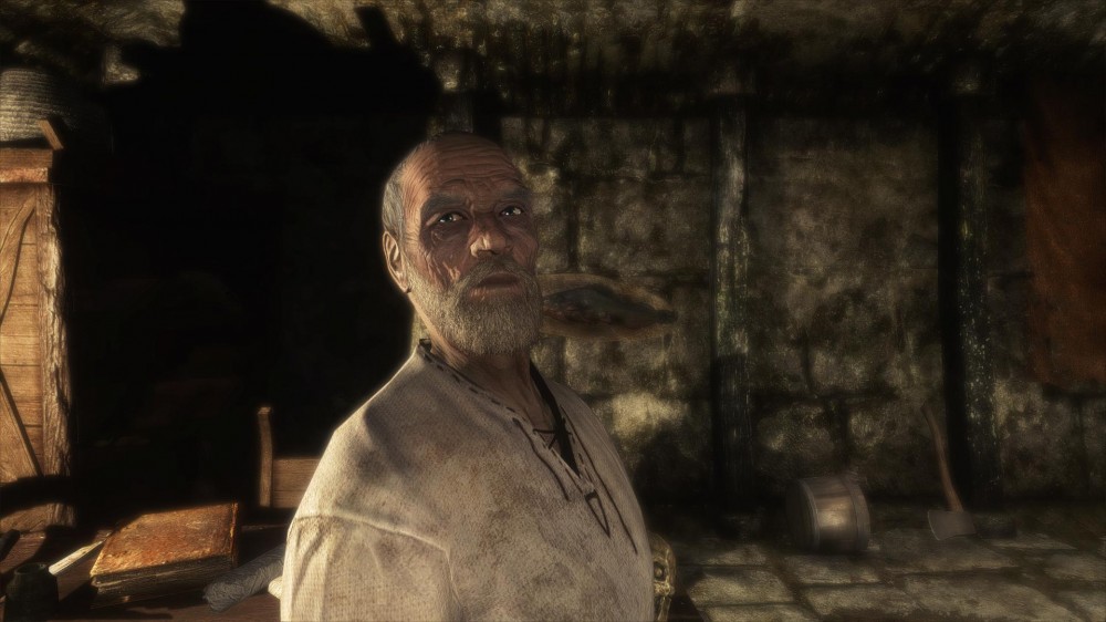 The Elder Scrolls V: Skyrim