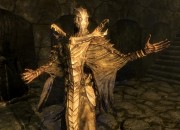 The Elder Scrolls V: Skyrim