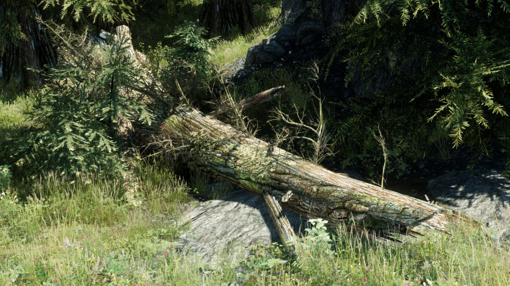 The Elder Scrolls V: Skyrim