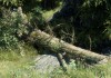 The Elder Scrolls V: Skyrim