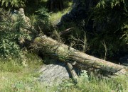 The Elder Scrolls V: Skyrim