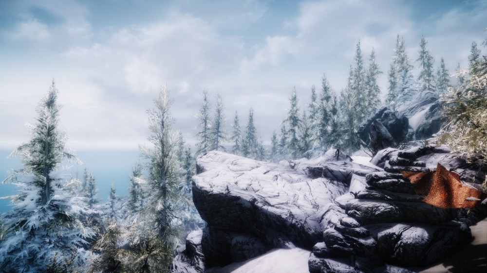The Elder Scrolls V: Skyrim