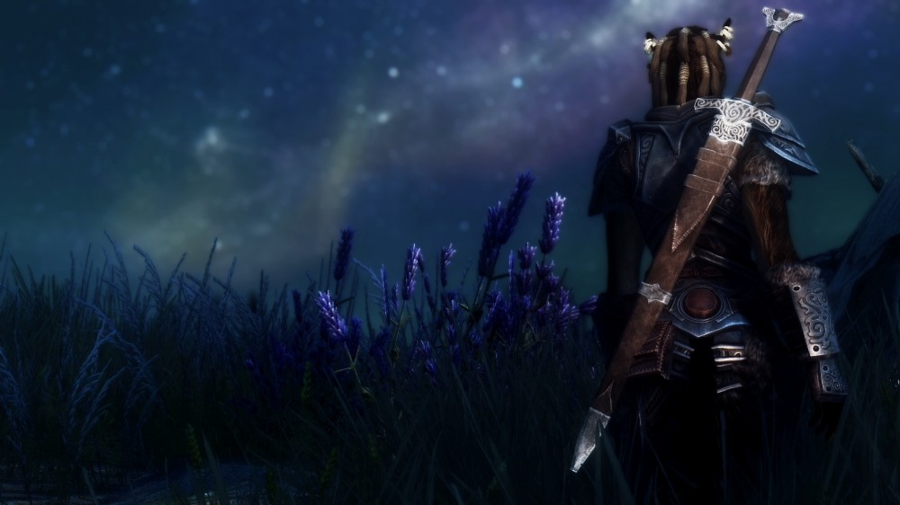 The Elder Scrolls V: Skyrim