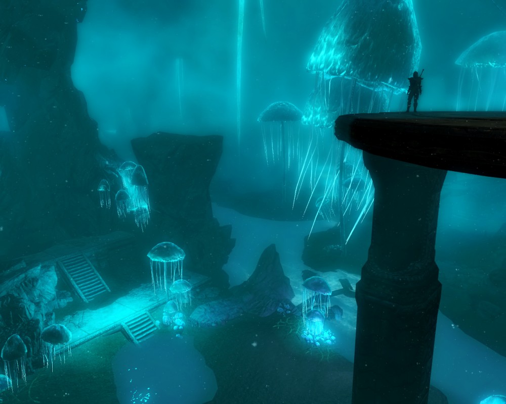 The Elder Scrolls V: Skyrim