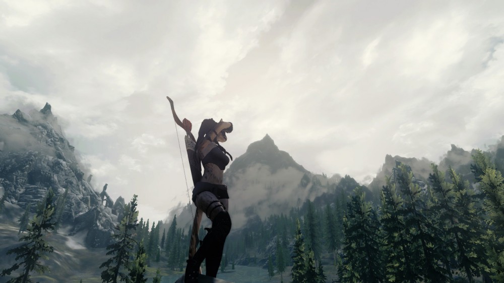 The Elder Scrolls V: Skyrim