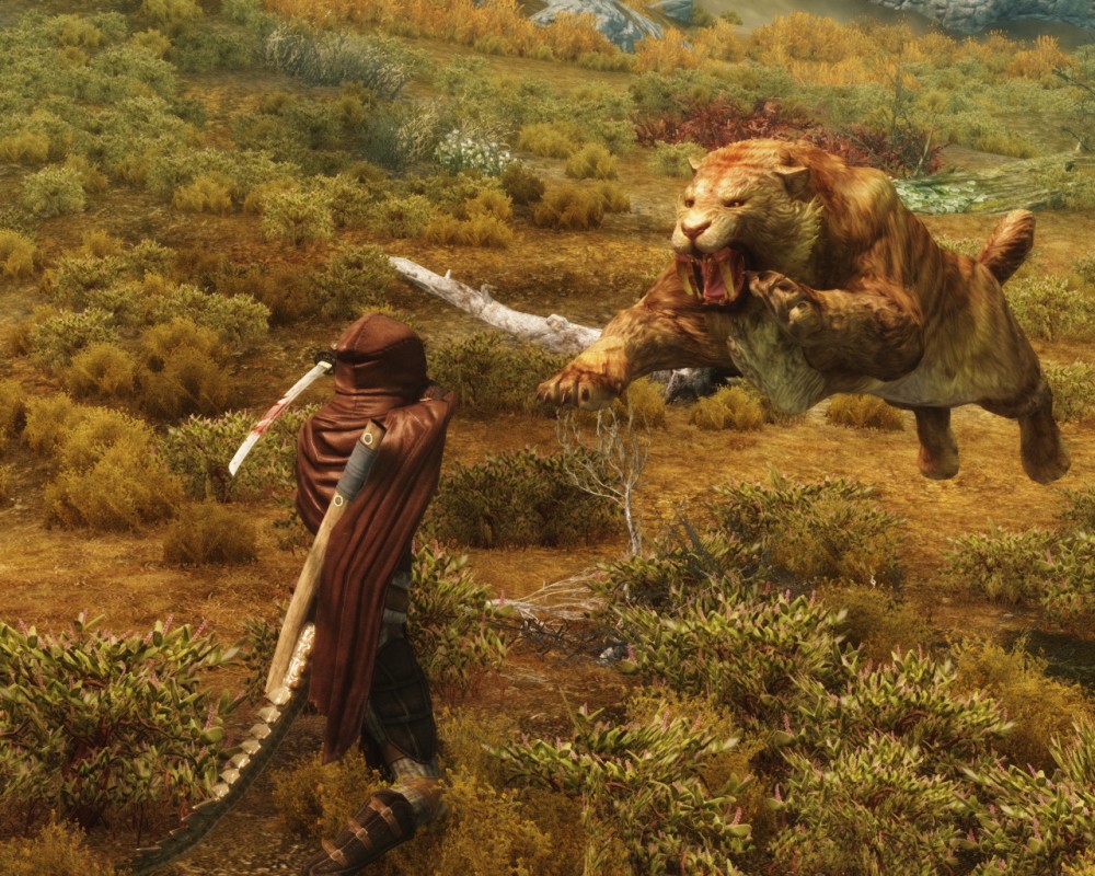 The Elder Scrolls V: Skyrim