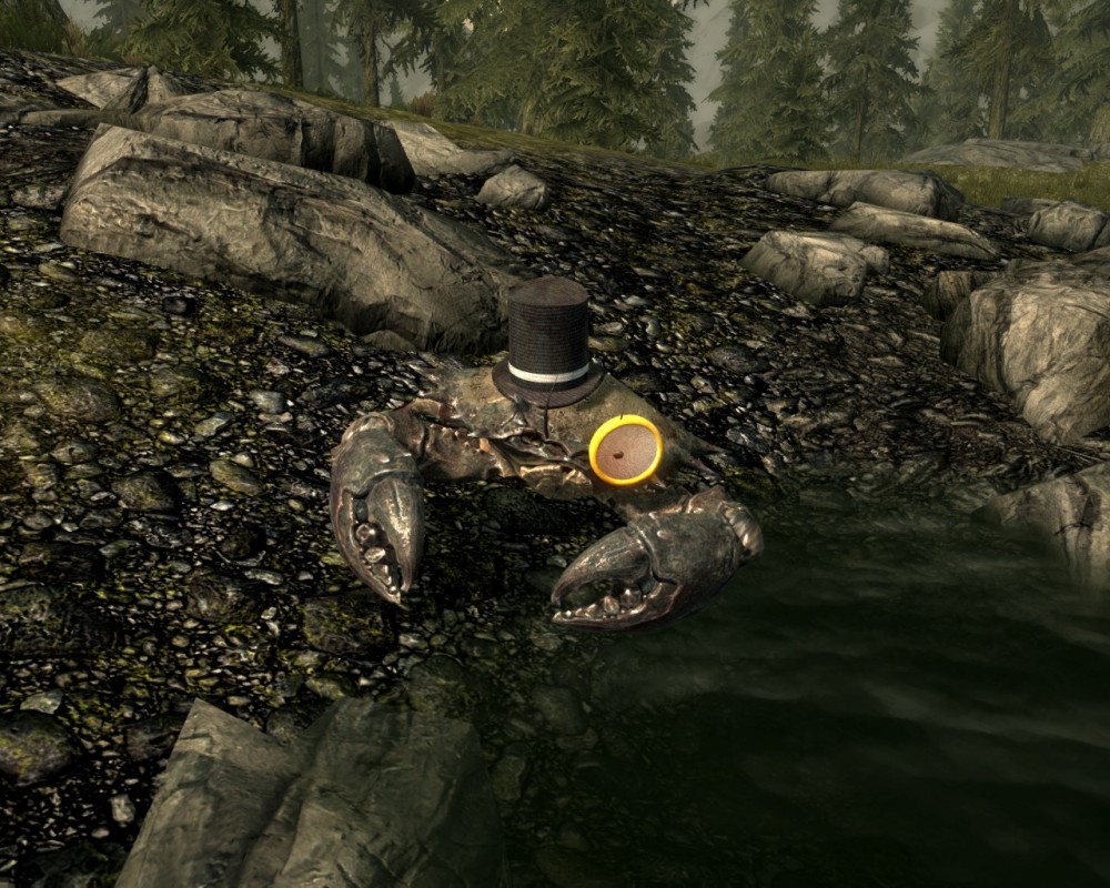 The Elder Scrolls V: Skyrim
