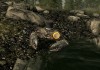 The Elder Scrolls V: Skyrim