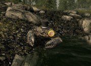 The Elder Scrolls V: Skyrim