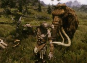 The Elder Scrolls V: Skyrim