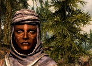The Elder Scrolls V: Skyrim