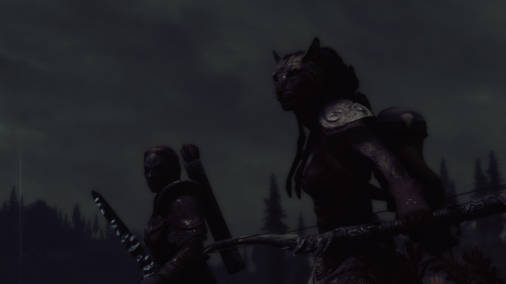 The Elder Scrolls V: Skyrim