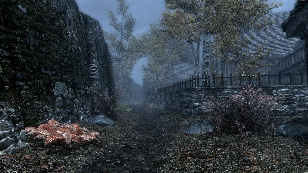 The Elder Scrolls V: Skyrim