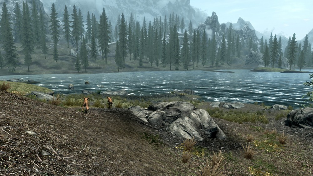 The Elder Scrolls V: Skyrim